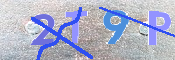 CAPTCHA 驗證圖片