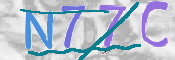CAPTCHA 驗證圖片