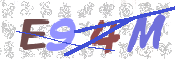 CAPTCHA 驗證圖片