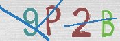 CAPTCHA 驗證圖片