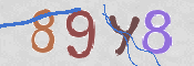 CAPTCHA 驗證圖片