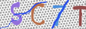 CAPTCHA 驗證圖片