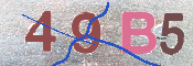 CAPTCHA 驗證圖片