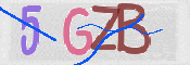 CAPTCHA 驗證圖片