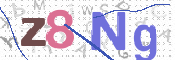 CAPTCHA 驗證圖片