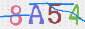 CAPTCHA 驗證圖片