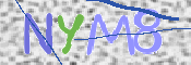 CAPTCHA 驗證圖片
