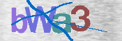 CAPTCHA 驗證圖片