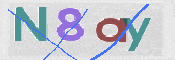CAPTCHA 驗證圖片
