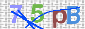 CAPTCHA 驗證圖片
