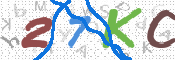 CAPTCHA 驗證圖片