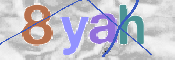 CAPTCHA 驗證圖片