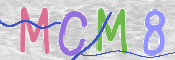 CAPTCHA 驗證圖片