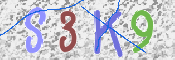 CAPTCHA 驗證圖片