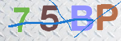 CAPTCHA 驗證圖片