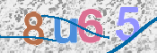 CAPTCHA 驗證圖片