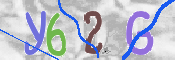CAPTCHA 驗證圖片