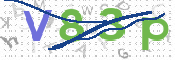 CAPTCHA 驗證圖片