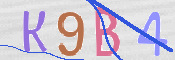 CAPTCHA 驗證圖片