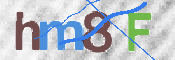 CAPTCHA 驗證圖片