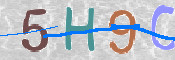CAPTCHA 驗證圖片