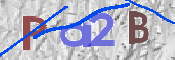 CAPTCHA 驗證圖片