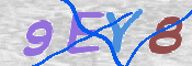 CAPTCHA 驗證圖片
