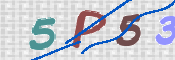 CAPTCHA 驗證圖片