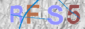 CAPTCHA 驗證圖片