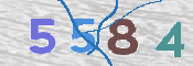 CAPTCHA 驗證圖片