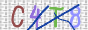 CAPTCHA 驗證圖片