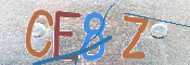 CAPTCHA 驗證圖片