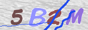 CAPTCHA 驗證圖片