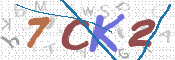 CAPTCHA 驗證圖片