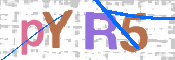 CAPTCHA 驗證圖片