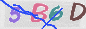 CAPTCHA 驗證圖片