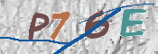 CAPTCHA 驗證圖片