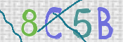 CAPTCHA 驗證圖片