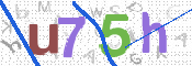 CAPTCHA 驗證圖片
