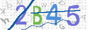 CAPTCHA 驗證圖片