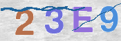 CAPTCHA 驗證圖片