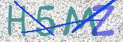 CAPTCHA 驗證圖片
