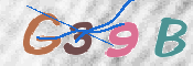 CAPTCHA 驗證圖片