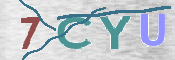 CAPTCHA 驗證圖片