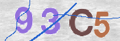 CAPTCHA 驗證圖片