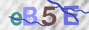 CAPTCHA 驗證圖片
