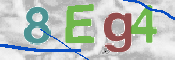 CAPTCHA 驗證圖片