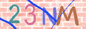 CAPTCHA 驗證圖片