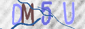 CAPTCHA 驗證圖片
