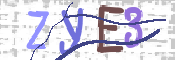 CAPTCHA 驗證圖片